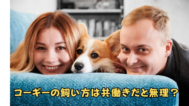 コーギーの飼い方が共働きの夫婦にコーギーが挟まれて頬を寄せている