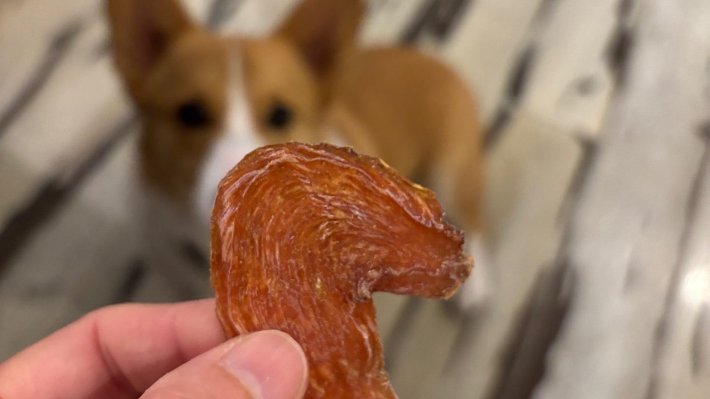 チキンテンダーより小さめのミニテンダーを見ている愛犬